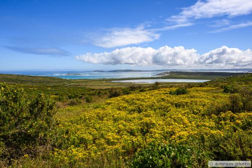 2023 amrum.photo 0007