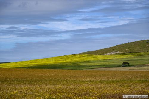 2023 amrum.photo 0023