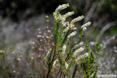 2023 amrum.photo 0039