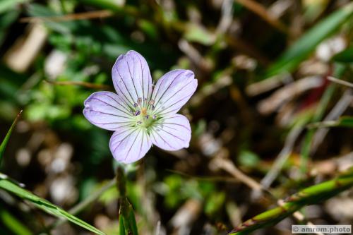 2023 amrum.photo 0132