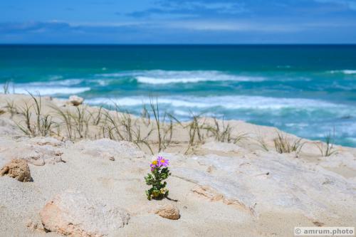 2023 amrum.photo 0144