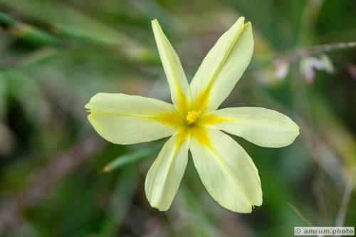 2023 amrum.photo 0157