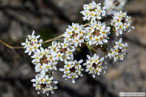 2023 amrum.photo 133