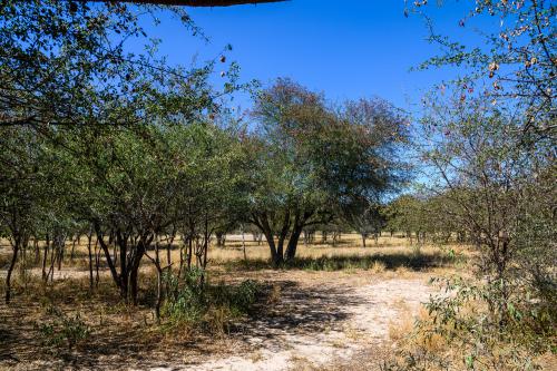 botswana027
