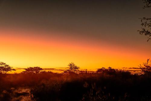 botswana070