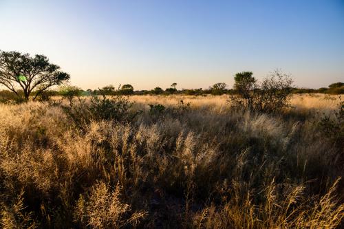 botswana072