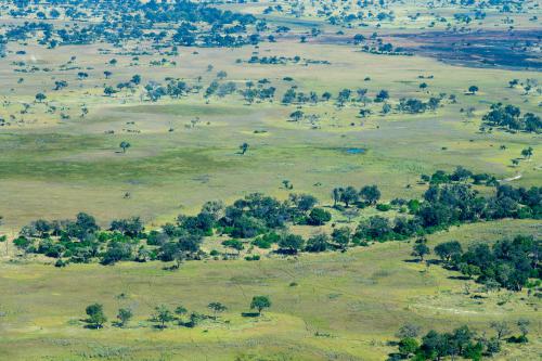 botswana100