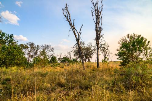 botswana109