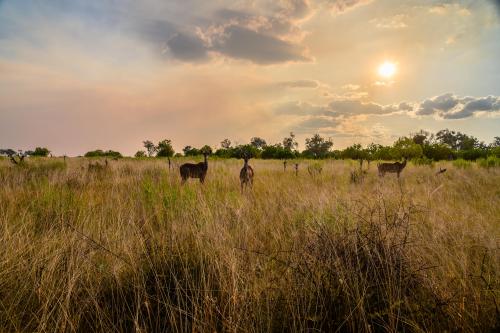 botswana112