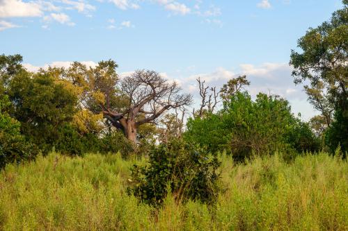botswana116