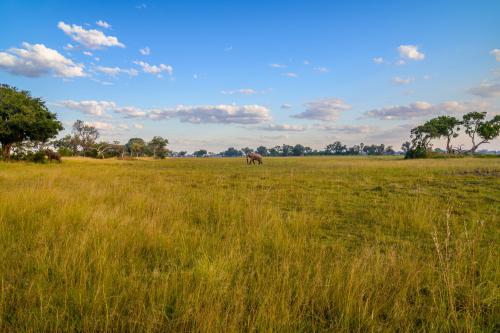 botswana117