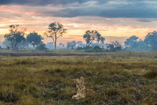 botswana132