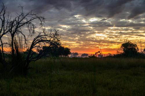 botswana133