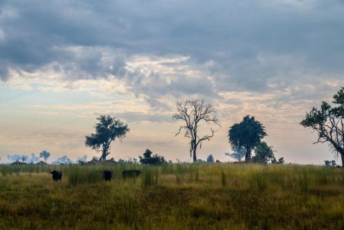 botswana142