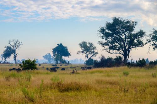 botswana148