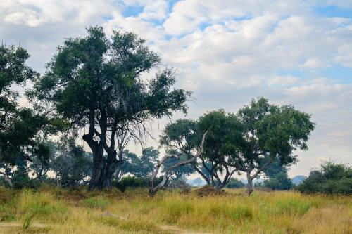 botswana149