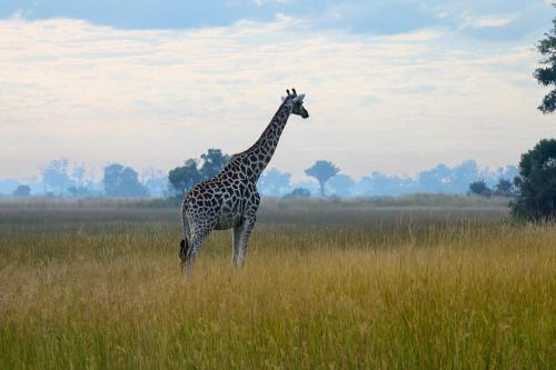 botswana153