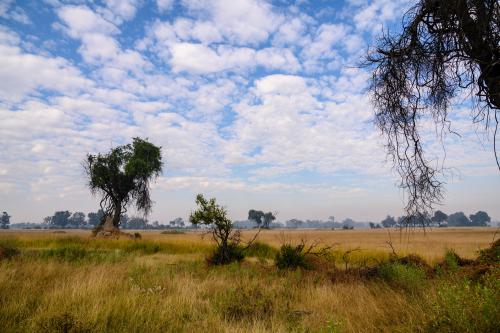 botswana156