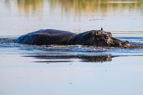 botswana159
