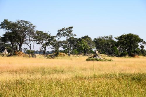botswana167