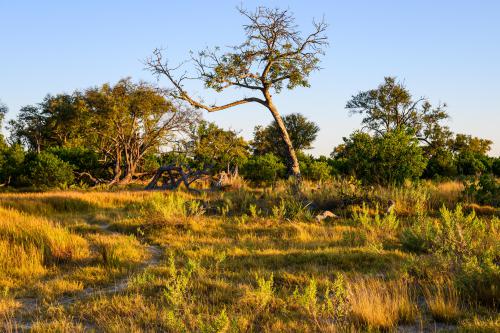 botswana194