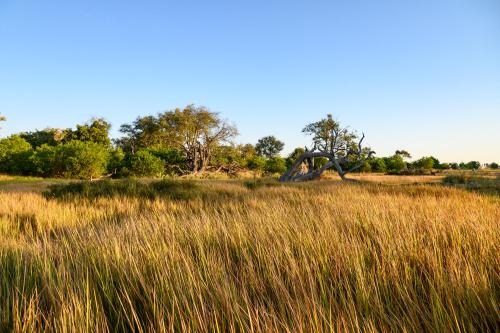 botswana195