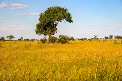 botswana207