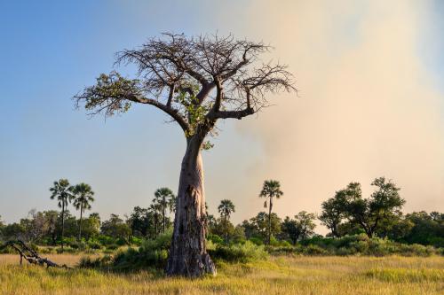 botswana212