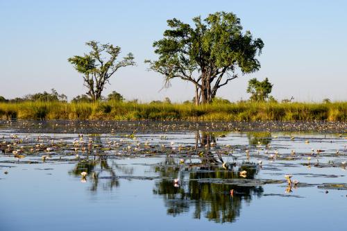 botswana231