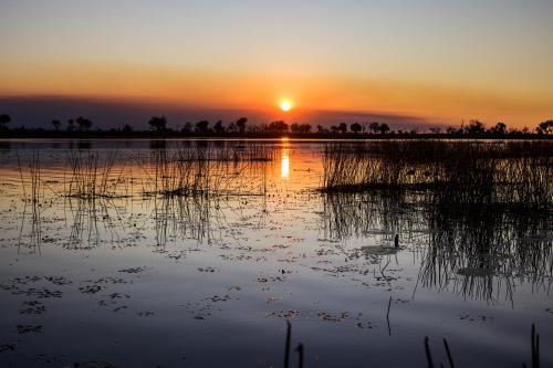 botswana245