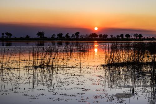 botswana246