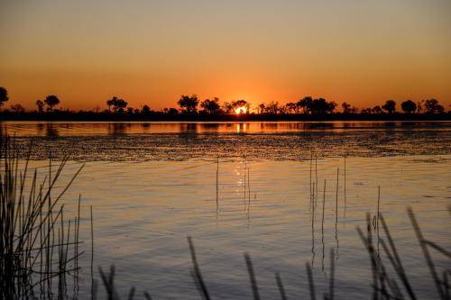 botswana277