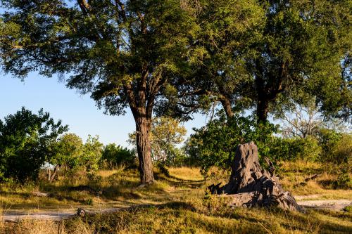 botswana280