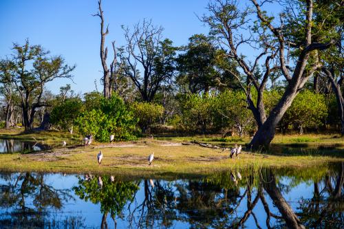 botswana305