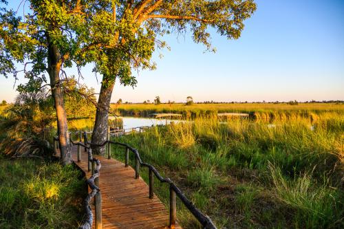 botswana310