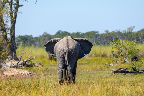 botswana338